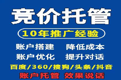 竞价广告的创意与执行：某快消品的营销突破